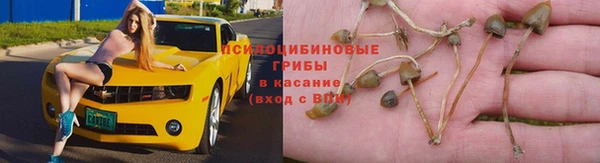 COCAINE Переславль-Залесский