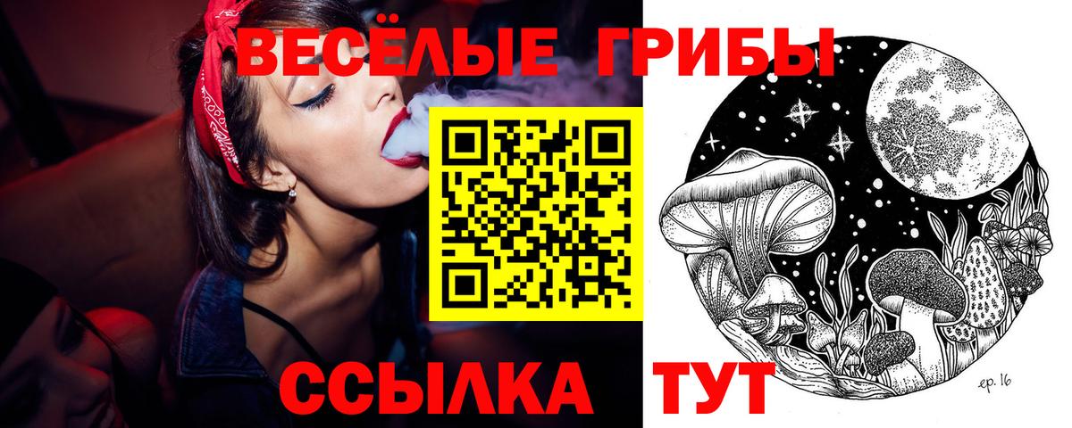 Галлюциногенные грибы ЛСД Удомля