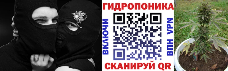 Марихуана MAZAR  цены наркотик  Удомля 