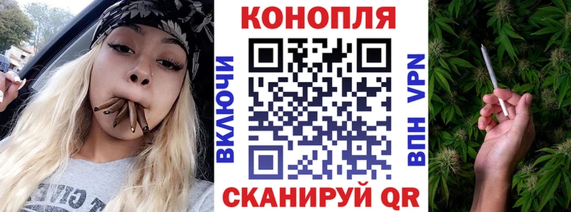Бошки Шишки MAZAR Удомля